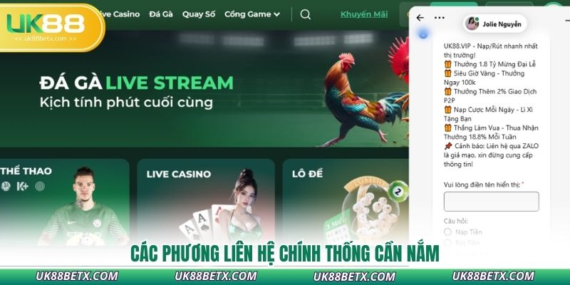 cac-phuong-lien-he-chinh-thong-can-nam
